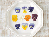 Uzunohana Dried Edible Flowers Viola Mix (50 Petals)